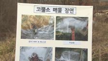 [취재파일] 호랑이, 코뿔소, 개코원숭이 탈출&hellip;다음은?