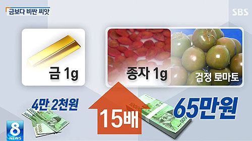 종자 캡쳐_500