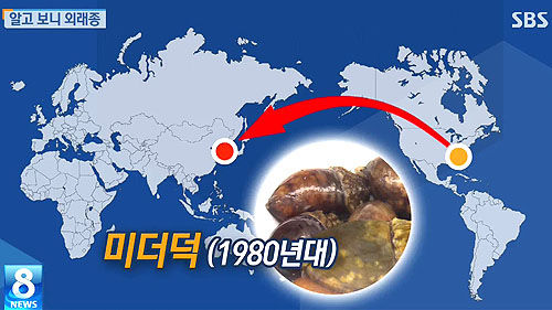 홍합 미더덕 캡쳐_