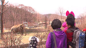 서울어린이대공원 방학 체험프로그램 운영