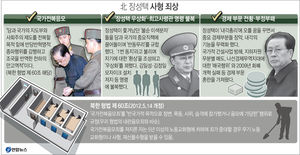 [그래픽] 北 장성택 사형 죄상
