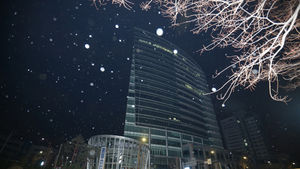 [핫포토] 부산에 내린 첫 눈