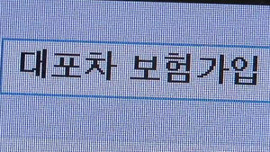 정부, 행정&middot;수사력 총동원해 '3대 대포악' 근절한다