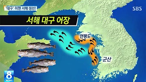 대구 캡쳐_500