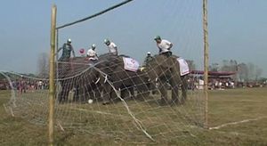 [생생영상] 전광석화 같은 앞발 슛&hellip;이색 코끼리 축구대회