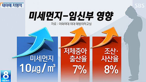 미세먼지 임신부 태