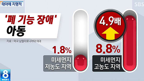 미세먼지 임신부 태