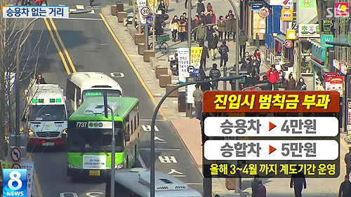 연세대 차없는 거리