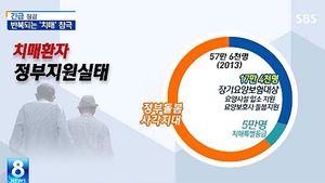 [그래픽] 치매가 부른 비극&hellip;허술한 사회 안전망