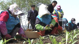 [수도권] 성남시 공공근로, 경기도내 시&middot;군 중 최대