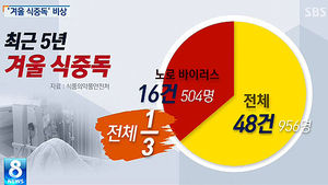 [그래픽] '겨울 식중독' 노로바이러스 비상&hellip;올해 더 기승