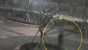 고급차 탄 양복 신사? 아파트 1층만 노렸다