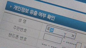 민주, 카드사 개인정보유출 국정조사 추진