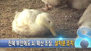 오늘의 주요뉴스