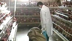 우리나라에 첫 출현한 'H5N8'&hellip;차이점은?