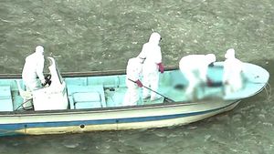 AI 고병원성 확진 늘어&hellip;큰기러기 폐사체에도 검출