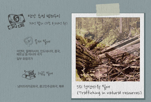 생생 그래픽