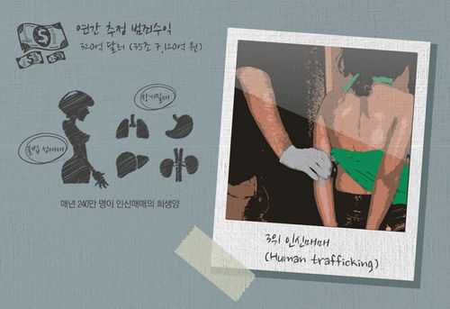 생생 그래픽