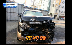 [블랙박스] 고양이 때문에 벌어진 역주행 사고&hellip;누구 탓?