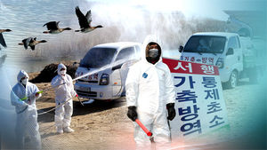 화성 AI 의심신고 추가 접수&hellip;산란계 36만마리 살처분