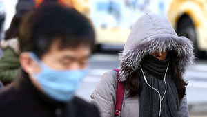 [핫포토] '경칩' 꽃샘추위 기승&hellip;언제까지?