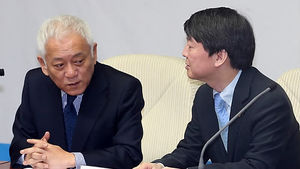 金-安, 의료계휴진&middot;간첩증거조작 의혹 공동 대여공세