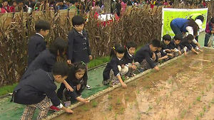[수도권] 이천 쌀문화축제 경제부문 대상