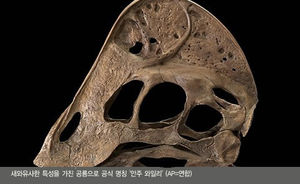 신종 공룡 발견&hellip;닭 닮은 '지옥의 치킨'