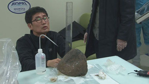 궁금한 이야기 Y_