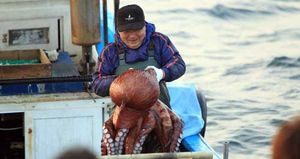 남북 긴장 속 동해 최북단 저도어장 어민 개방