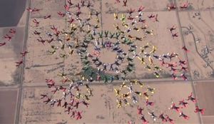 [생생영상] 스카이다이버 222명 '단체 낙하'&hellip;1명 사망 참사