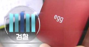 급전 대출 미끼로 인터넷 가입자 보조금 '꿀꺽'