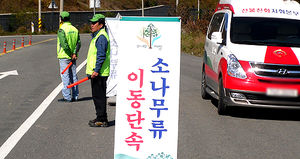 [핫포토] 무주국유림관리소, 소나무류 이동 특별단속 실시