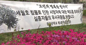 침몰 사고로 축제 행사들 줄줄이 취소