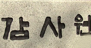 감사원, 세월호 사고 해수부&middot;해경 등 특감절차 착수