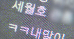 경찰, '세월호 희생자 모욕글' 줄줄이 처벌