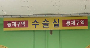 세월호 수색 중 쓰러진 해경 항공대원 의식 회복