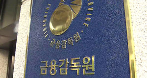 '고수익 부동산 투자' 유사수신 의심업체 적발