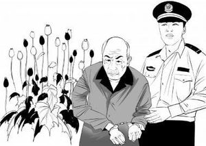 [월드리포트] 병든 아내 위해 약초 재배했다 징역형
