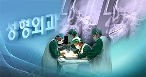 미용성형 수술 가장 많이 하는 나라는?