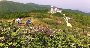 [핫포토] 만개한 소백산 연화봉 철쭉&hellip;주말 절정