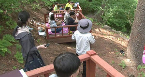 '잣나무 푸른 숲' 산림욕장 개장&hellip;국내 최대