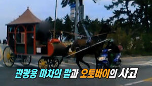 [블랙박스] 신호 무시한 마차가 오토바이와 '쾅'&hellip;과실은?