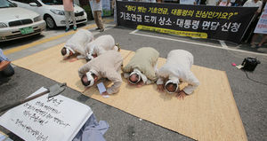 [핫포토] 빈곤 노인들 '도끼상소' 퍼포먼스
