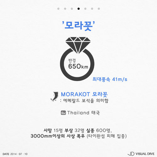 태풍들