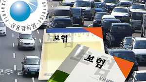 車보험료 30년만에 개편&hellip;'사실상 보험료 인상' 논란