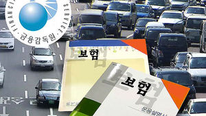달라지는 자동차 보험&hellip;"사고 자주 내면 돈 더낸다"
