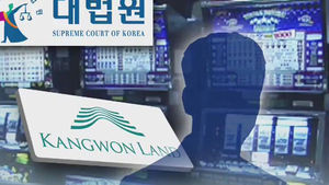 대법원 "도박 피해, 전적으로 본인 책임"