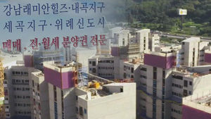 '강남 신흥 3곡' 뜨자 '떴다방' 떴다&hellip;불법 전매 기승
