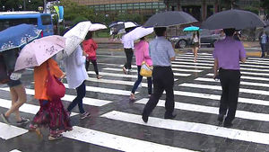 부산&middot;김해에 호우주의보&hellip;밤까지 최고 60㎜